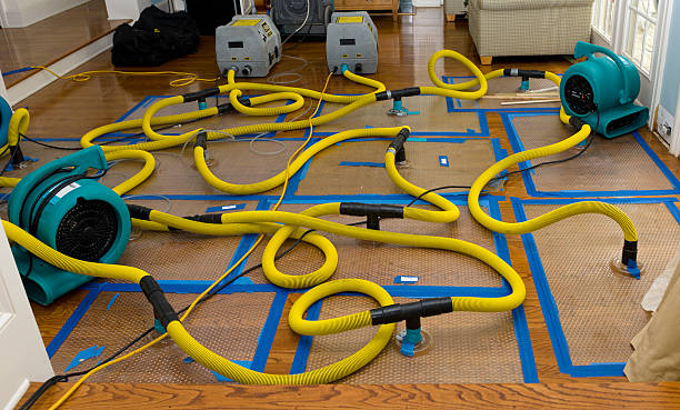 Professional Crawl Space Water Removal technician working in Scandinavia, WI